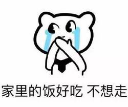 您的暑假假期余额已不足,QQ表情.
